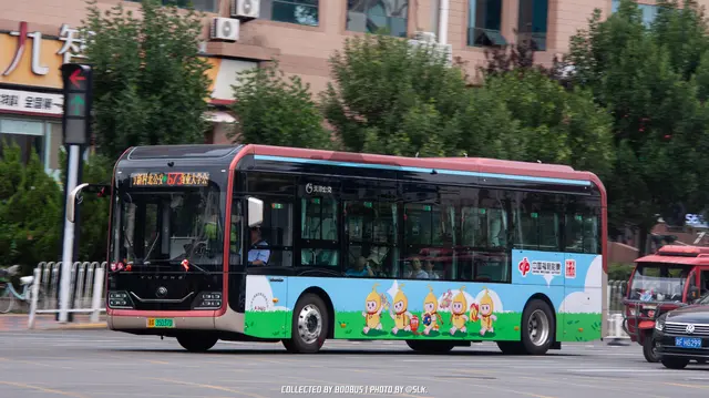 800BUS