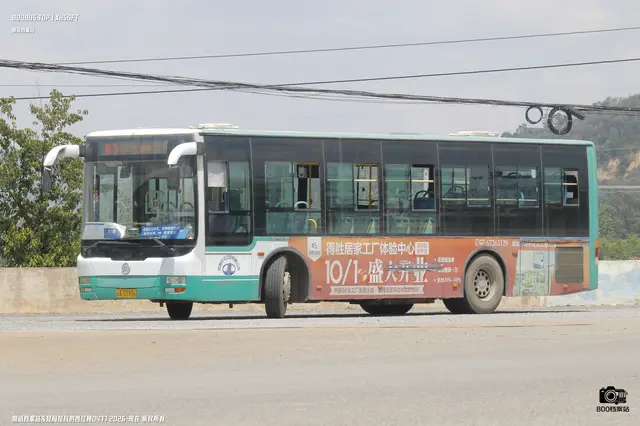 800BUS