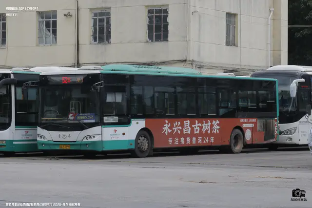 800BUS