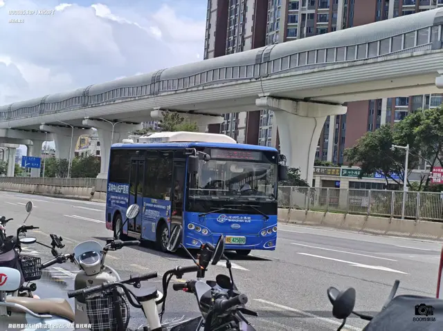 粤B 42569D