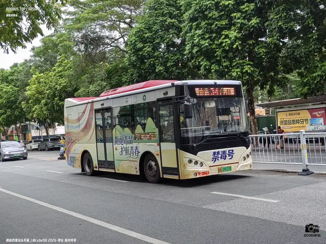 桂A 09019D