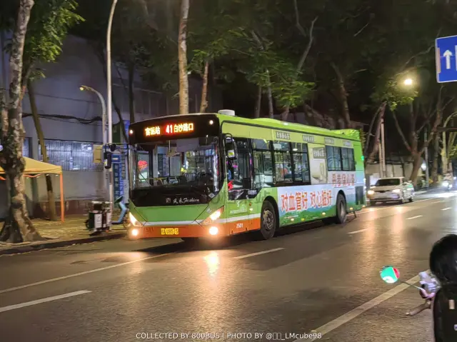 桂A U8515