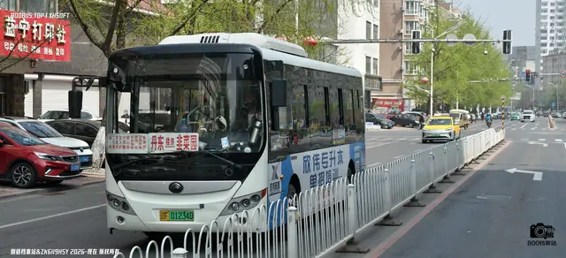 辽F 01234D
