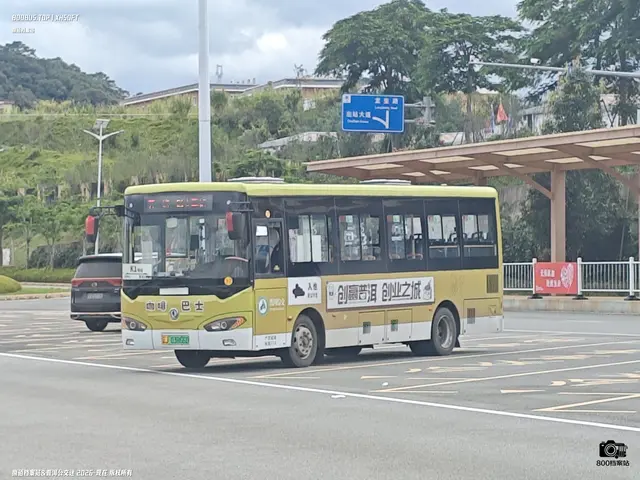 800BUS