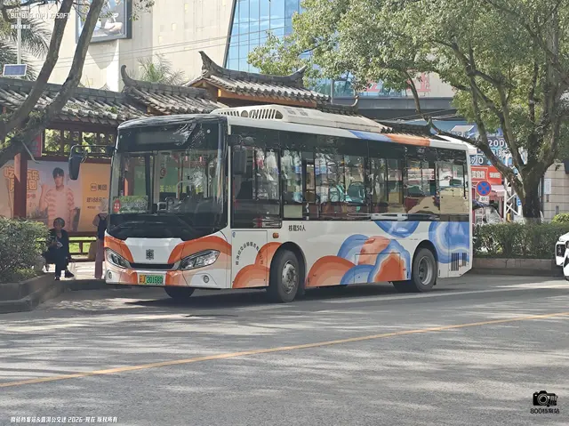 800BUS