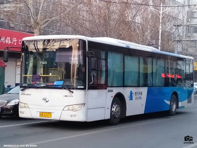 鲁N A2377
