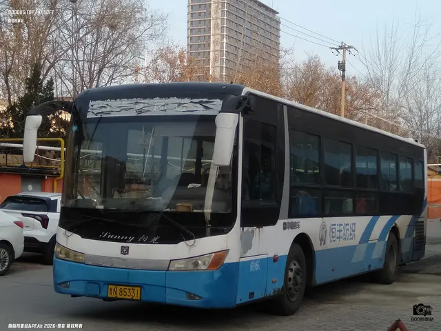 鲁N 85331
