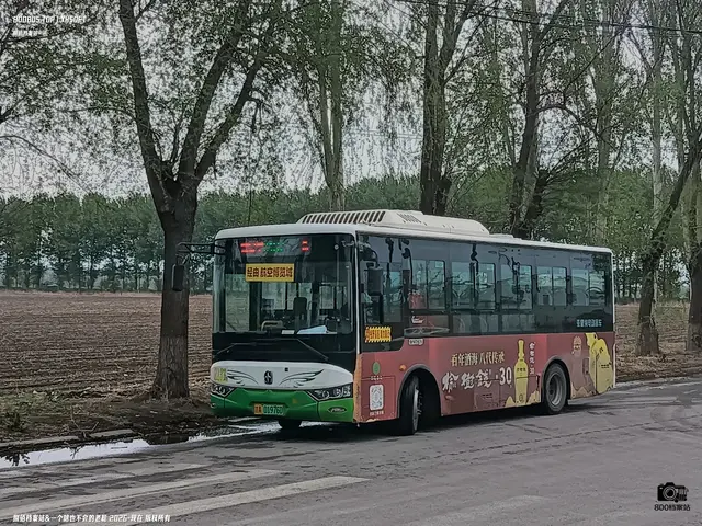 吉A 01976D