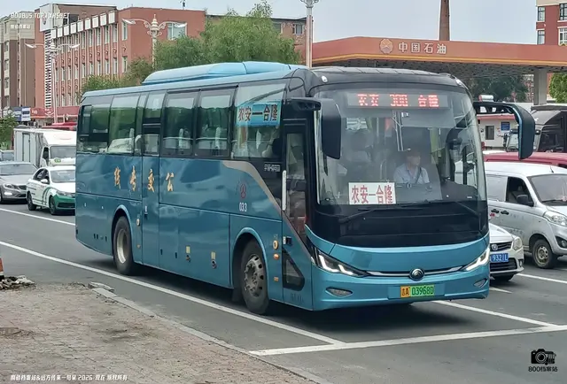 800BUS