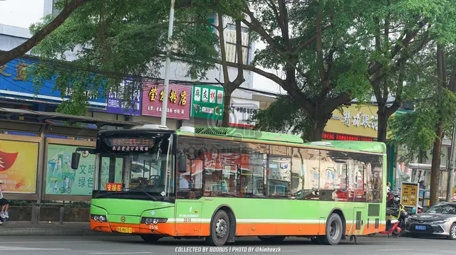 800BUS