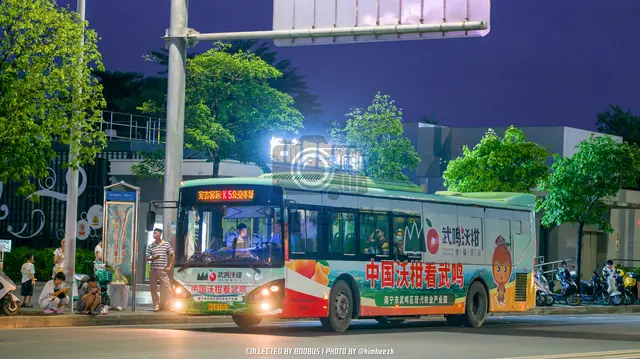 800BUS