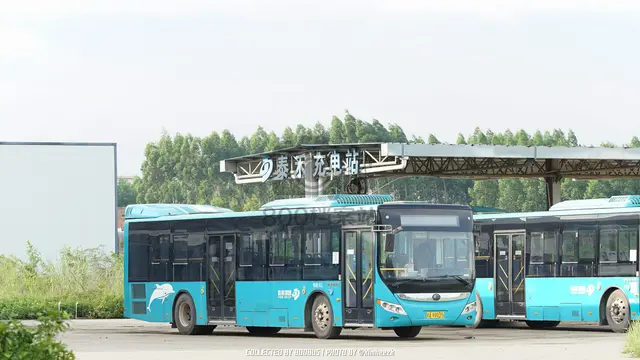桂A V8035