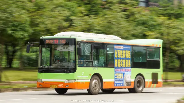 800BUS