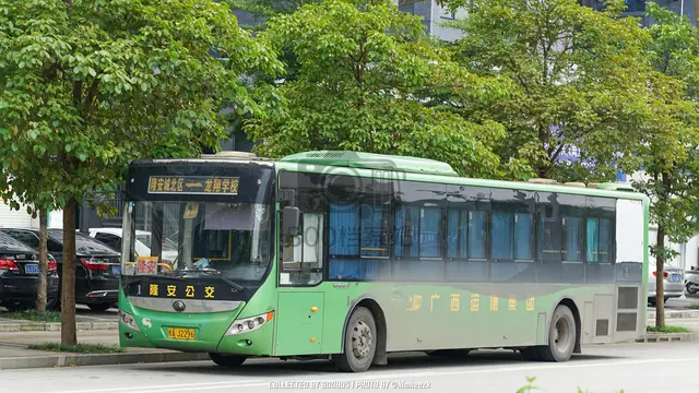 800BUS