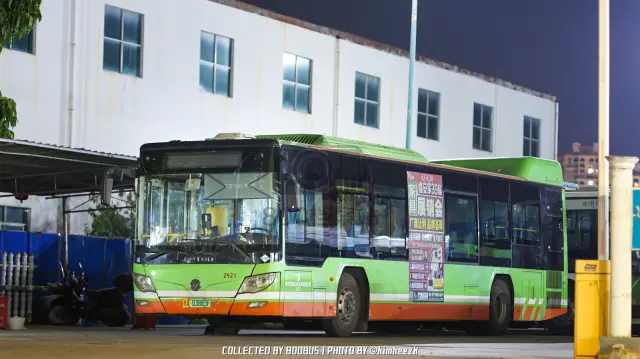 800BUS
