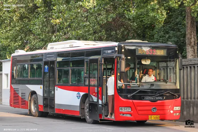 渝B T6860