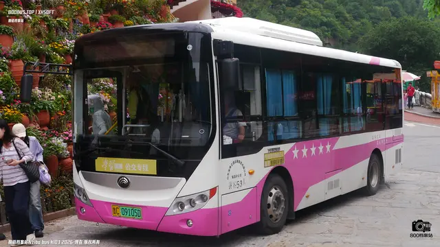 鲁C 09105D