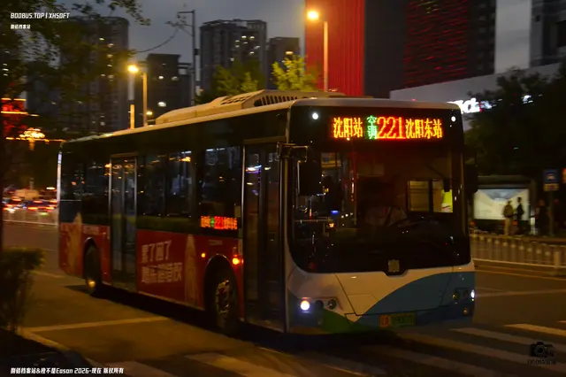 辽A 09007D