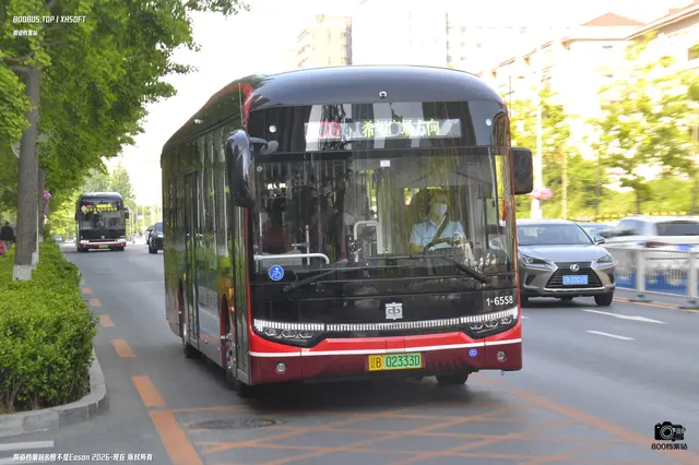 辽B 02333D