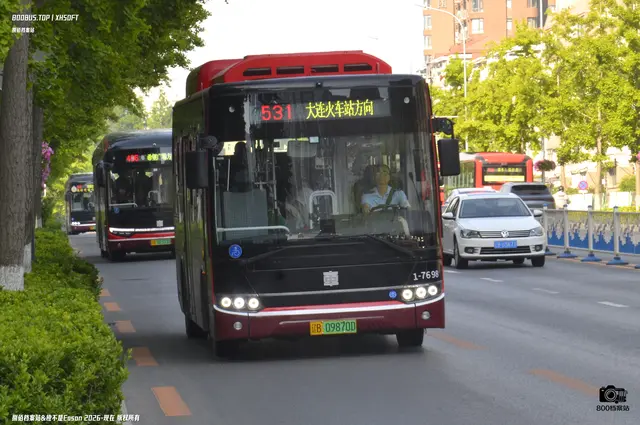 辽B 09870D