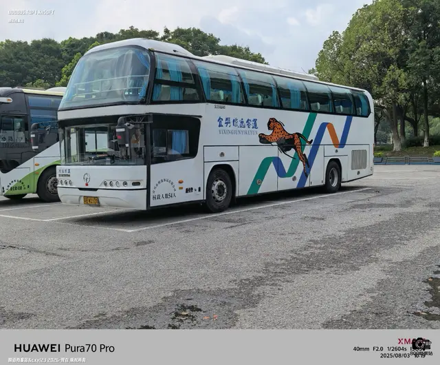 苏B W2100