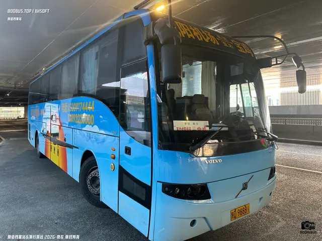 陕D 98881