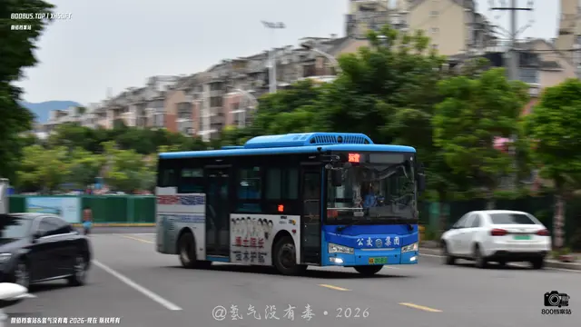 闽A 09181D