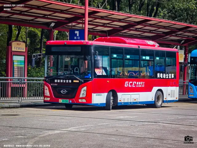 粤E 06994D
