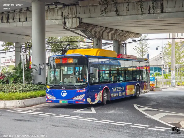 粤A 21055D