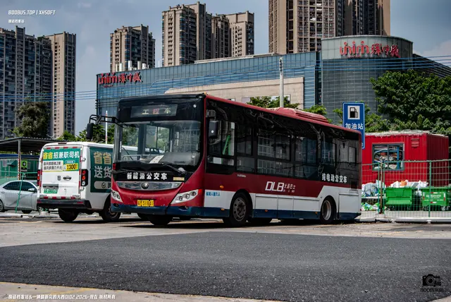 粤Y 31841