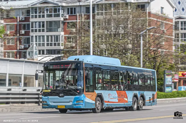 800BUS