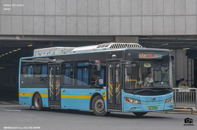 800BUS