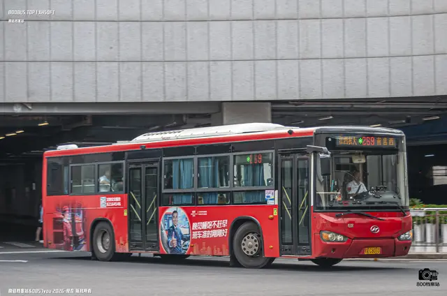 800BUS