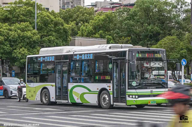 800BUS