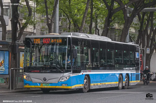800BUS