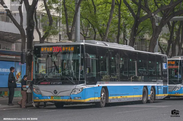 800BUS