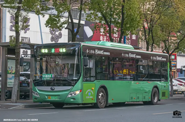800BUS