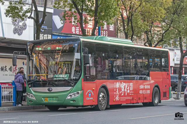 800BUS