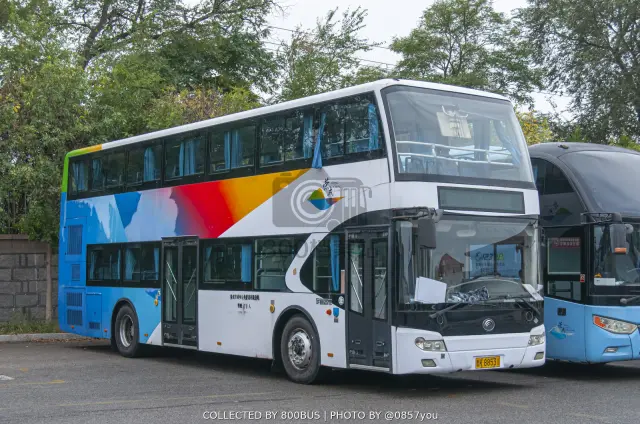 800BUS