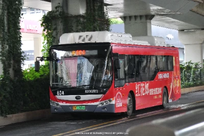 鄂A 19509F