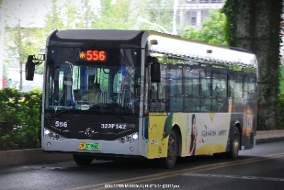鄂A 30193D