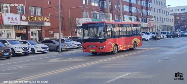 辽G 02991D