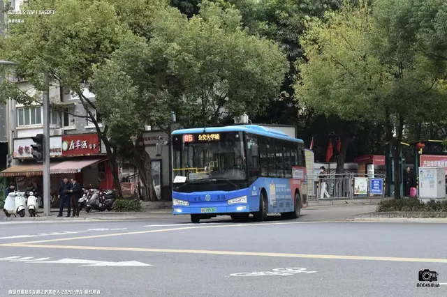 闽A09538D
