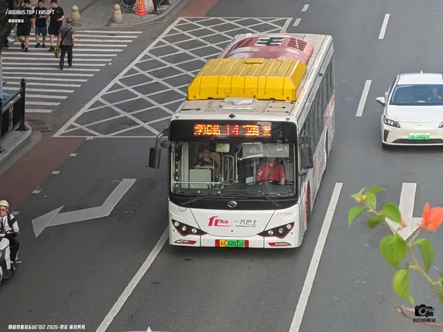 粤A 02071D