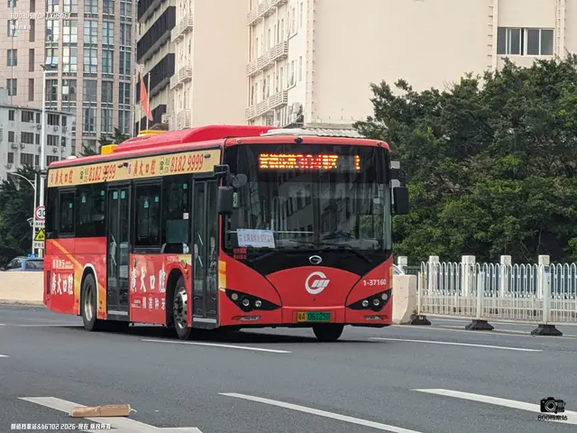 粤A 06125D