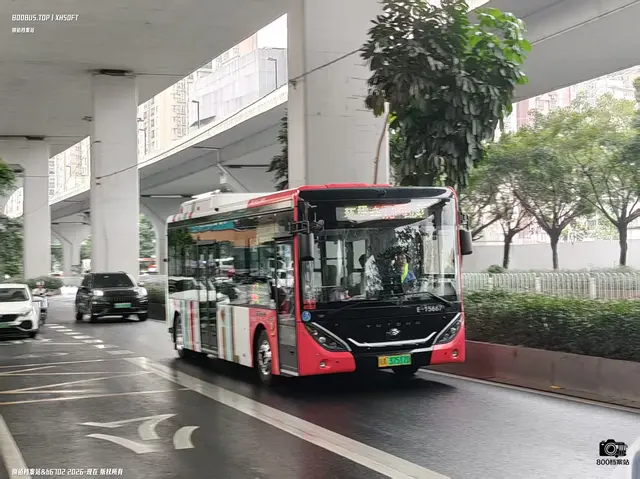 粤A 37517D