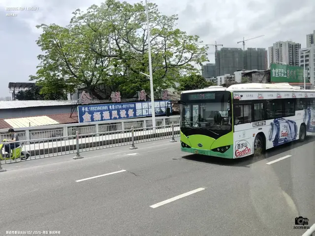 粤D 22893D