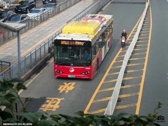 粤A 23093D
