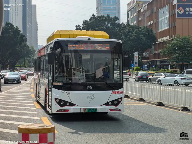 粤A 29898D