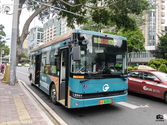 粤A 41241D